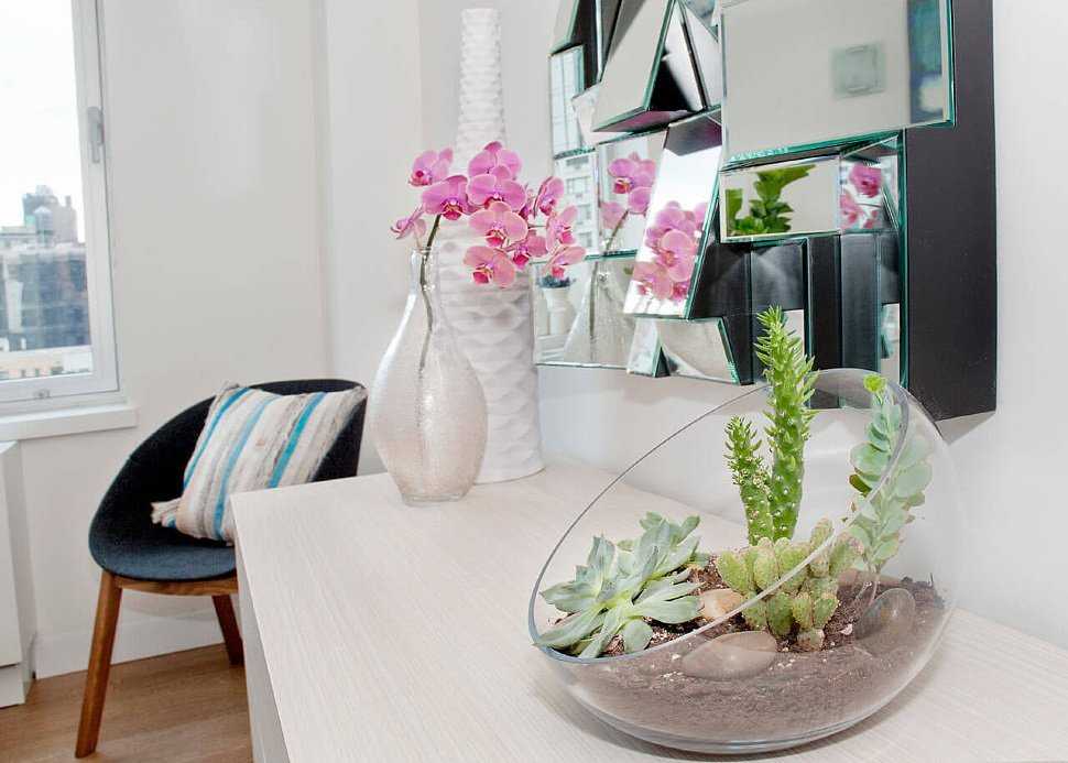 Как украсить интерьер квартиры комнатными растениями