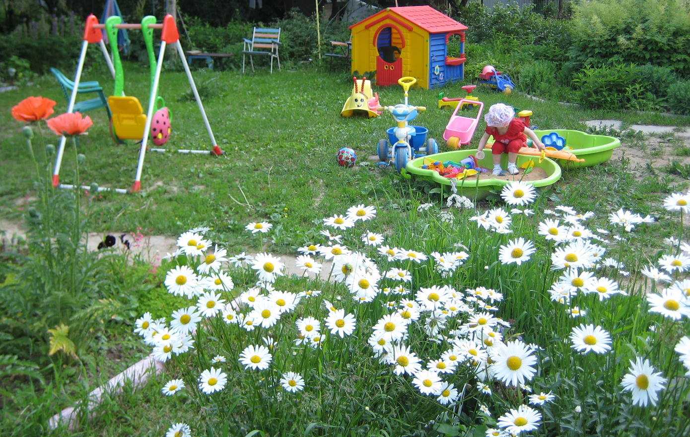 Фото участков летом в детском саду своими руками фото
