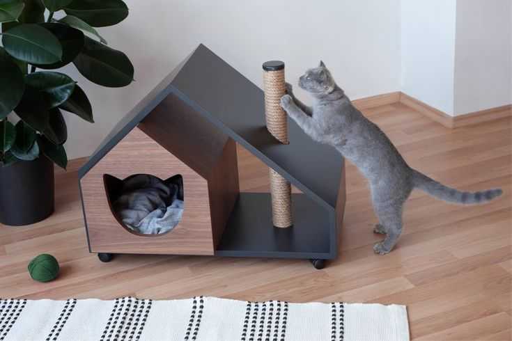 Домик для кошки из картонной коробки. мастер класс: инструкция, как сделать своими руками, чертежи с размерами, фото