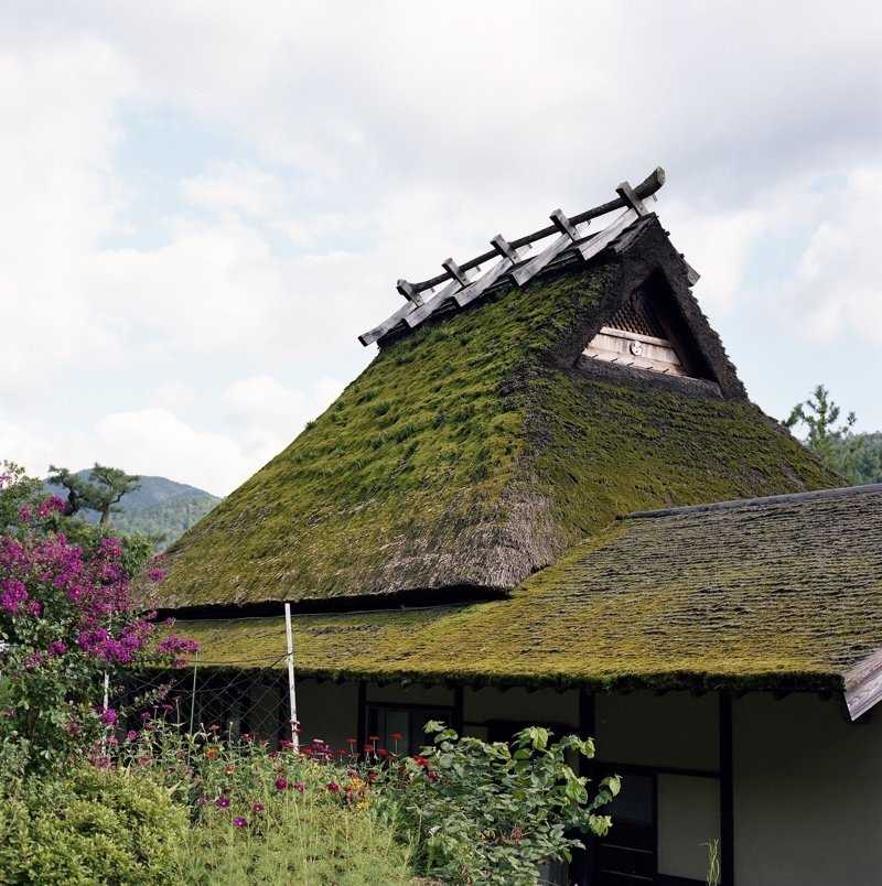 Зеленый цвет крыши дома: фото оригинальных вариантов