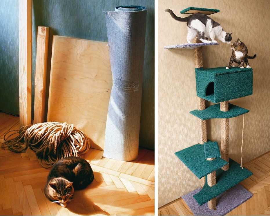 Делаем дом для кошки своими руками: выбор материалов и пошаговая инструкция