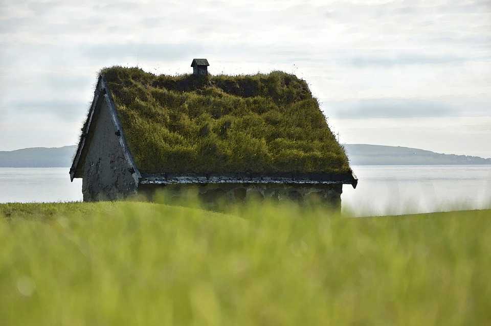 Дом с зеленой крышей (20 фото): разрушение 6 мифов | lekardoma.ru